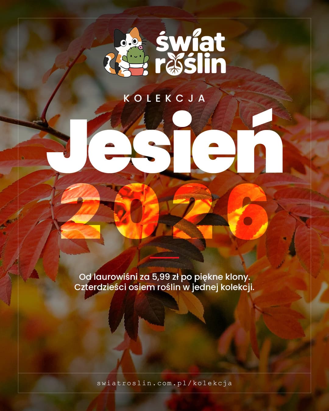 Kolekcja Jesień 2026 Świat Roślin: jesienne liście jarzębiny