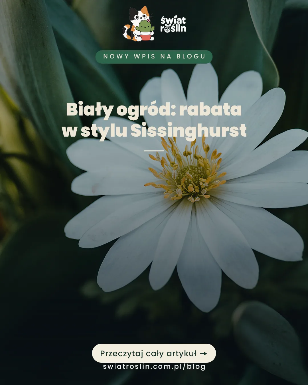 Biały ogród w Sissinghurst: czego uczy do dziś – Świat Roślin blog ogrodniczy