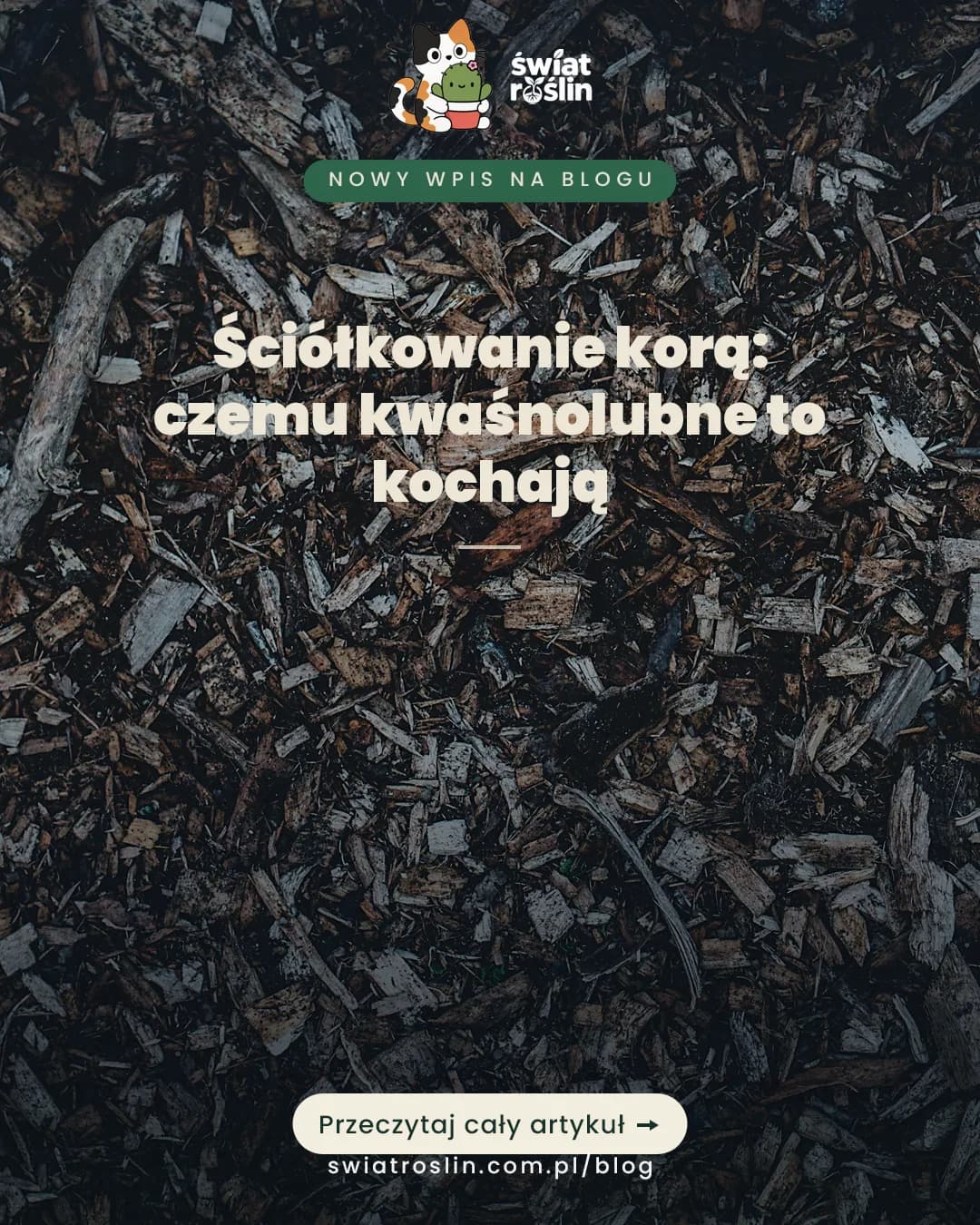 Ściółkowanie korą roślin kwaśnolubnych – Świat Roślin blog ogrodniczy