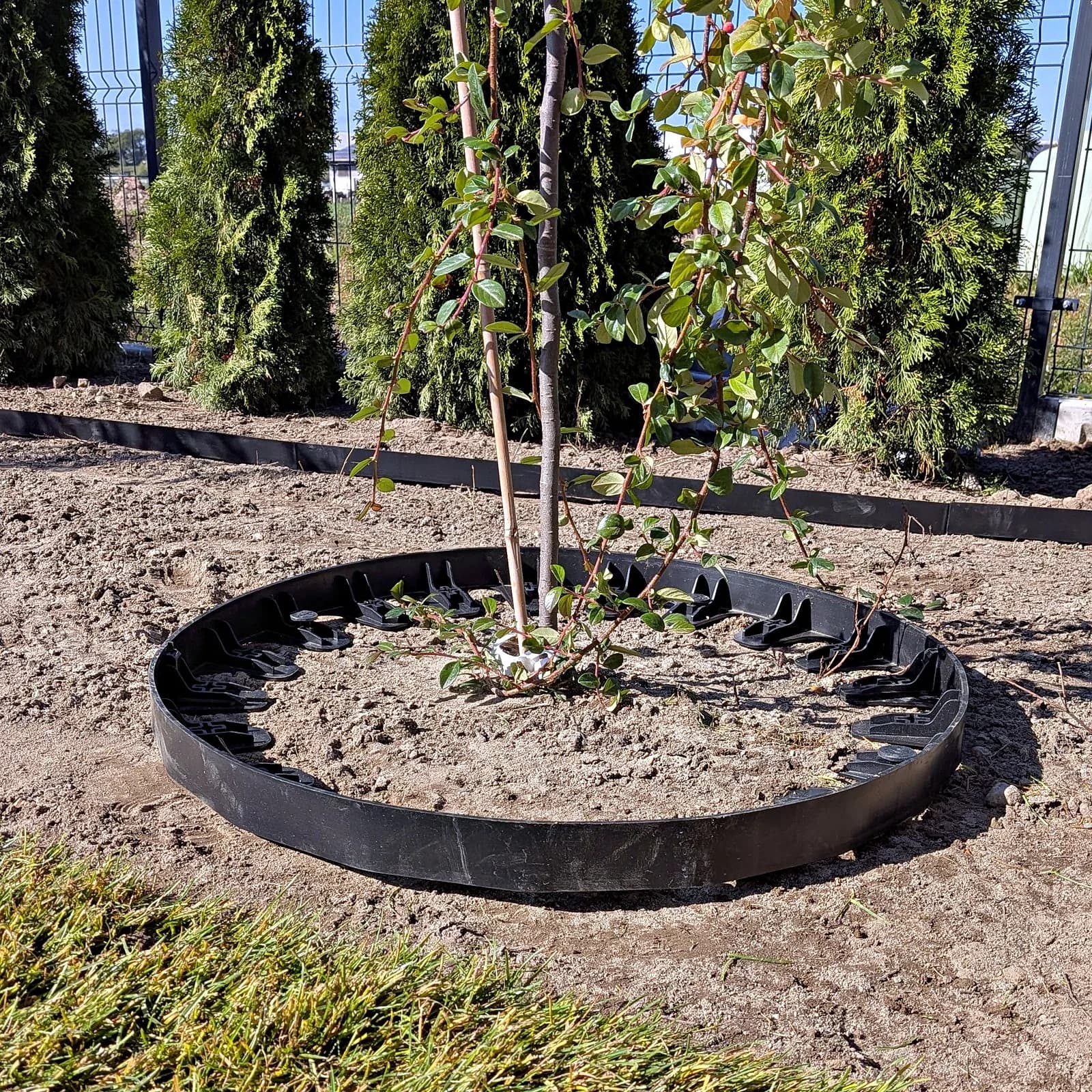 Obrzeże ogrodowe Domelo 4,5 cm V2, Eko bordy z produkcji Świat Roślin, zdjęcie 3